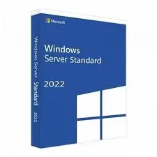 Microsoft Windows Server Standard 2022